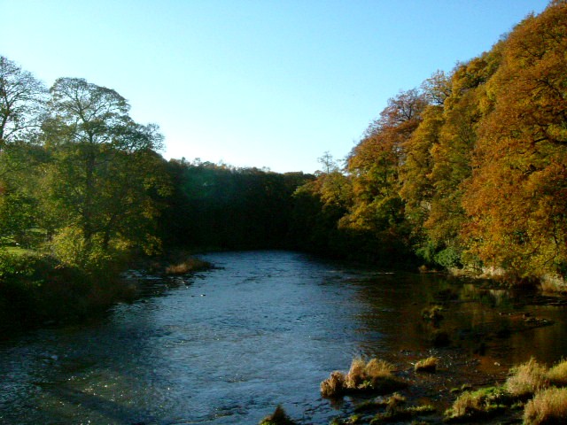 Autumnal_Splendor_in_County_Durham.JPG